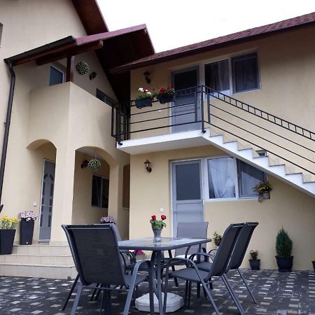 Casa Luisa Apartment Calimanesti Exterior photo